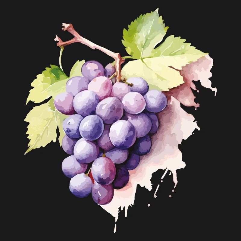 Grappe d’aquarelle de raisins