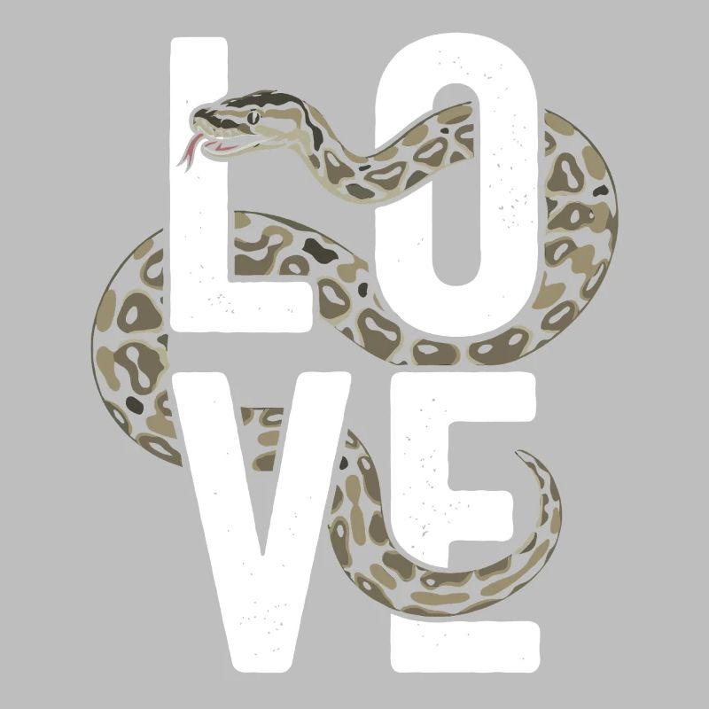 Les serpents rois Python ADORENT les pythons de terrarium