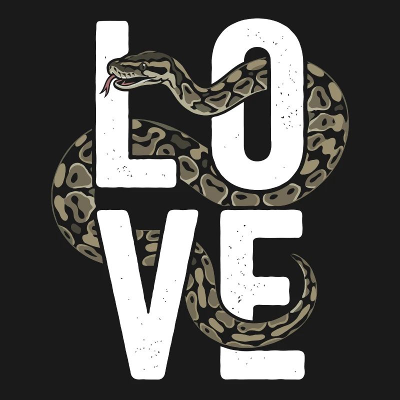Les serpents rois Python ADORENT les pythons de terrarium