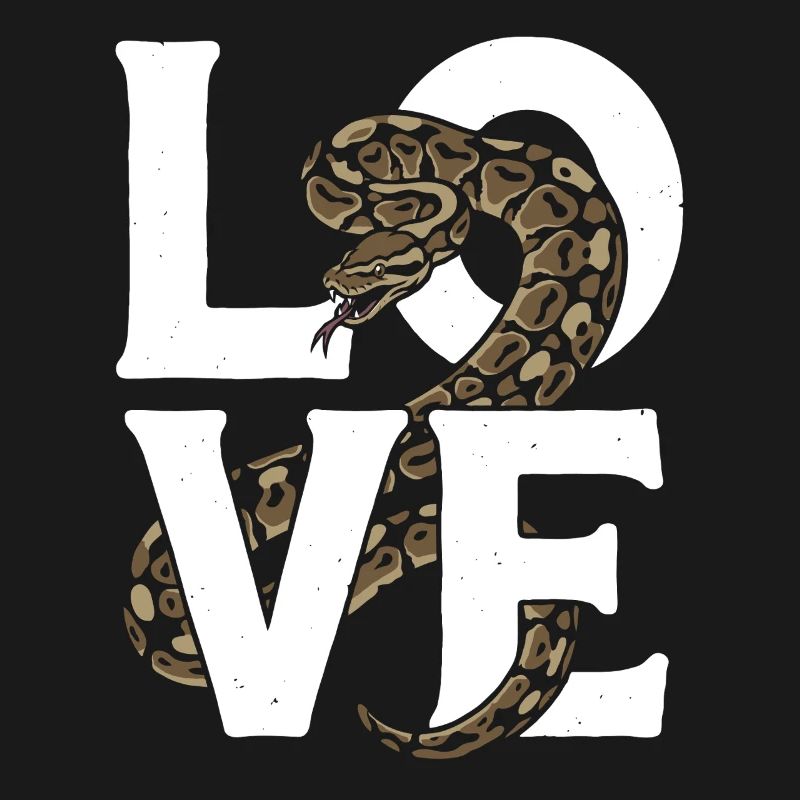 Les serpents rois Python ADORENT les pythons de terrarium