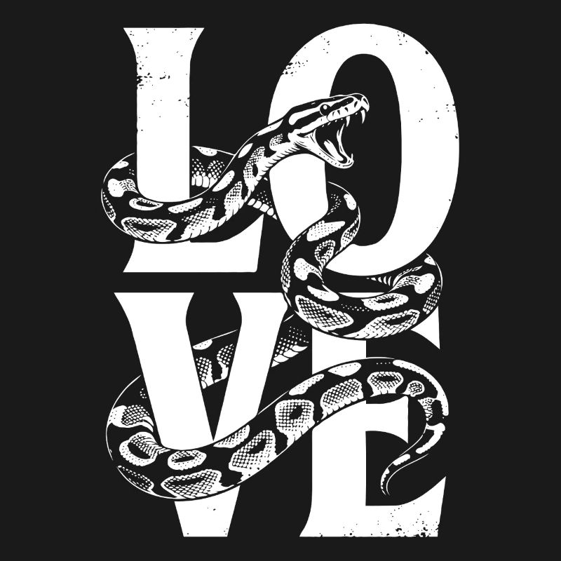 Les serpents rois Python ADORENT les pythons de terrarium