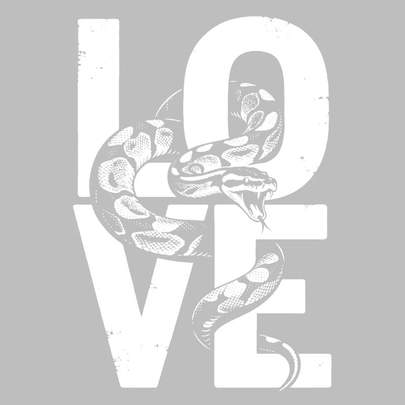 Les serpents rois Python ADORENT les pythons de terrarium