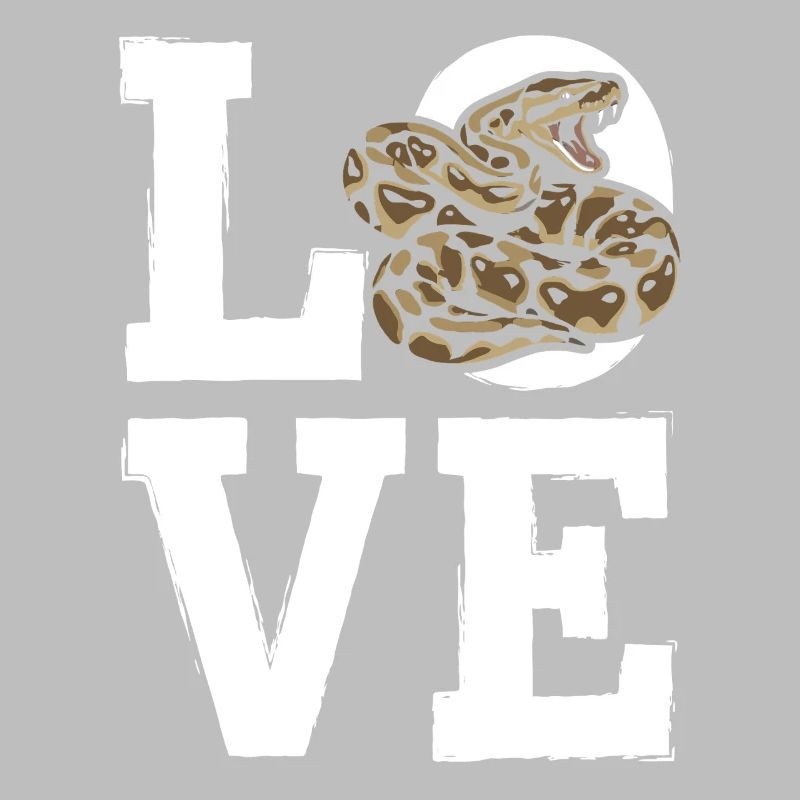 Les serpents rois Python ADORENT les pythons de terrarium