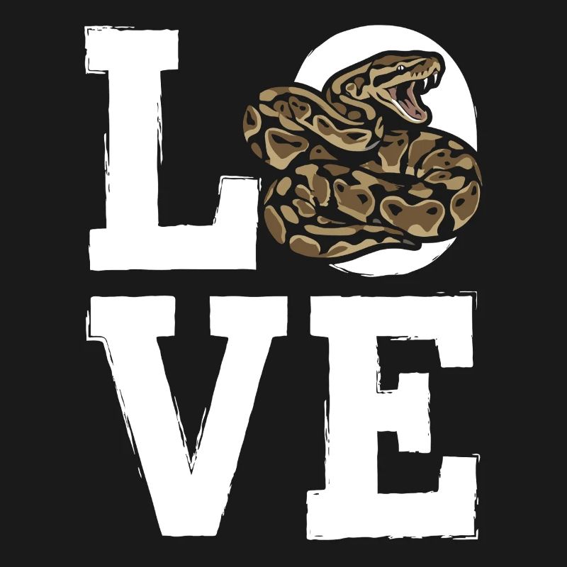 Les serpents rois Python ADORENT les pythons de terrarium