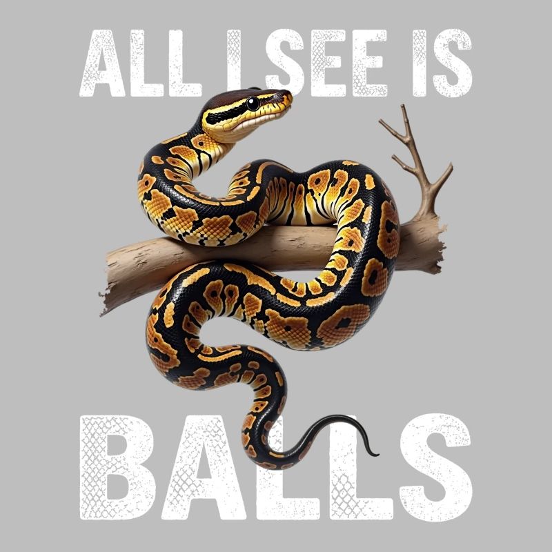 Python roi Serpents Amateurs de terrarium Python