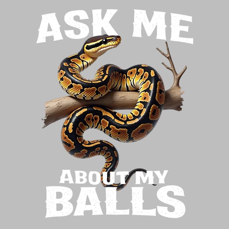 Python roi Serpents Amateurs de terrarium Python