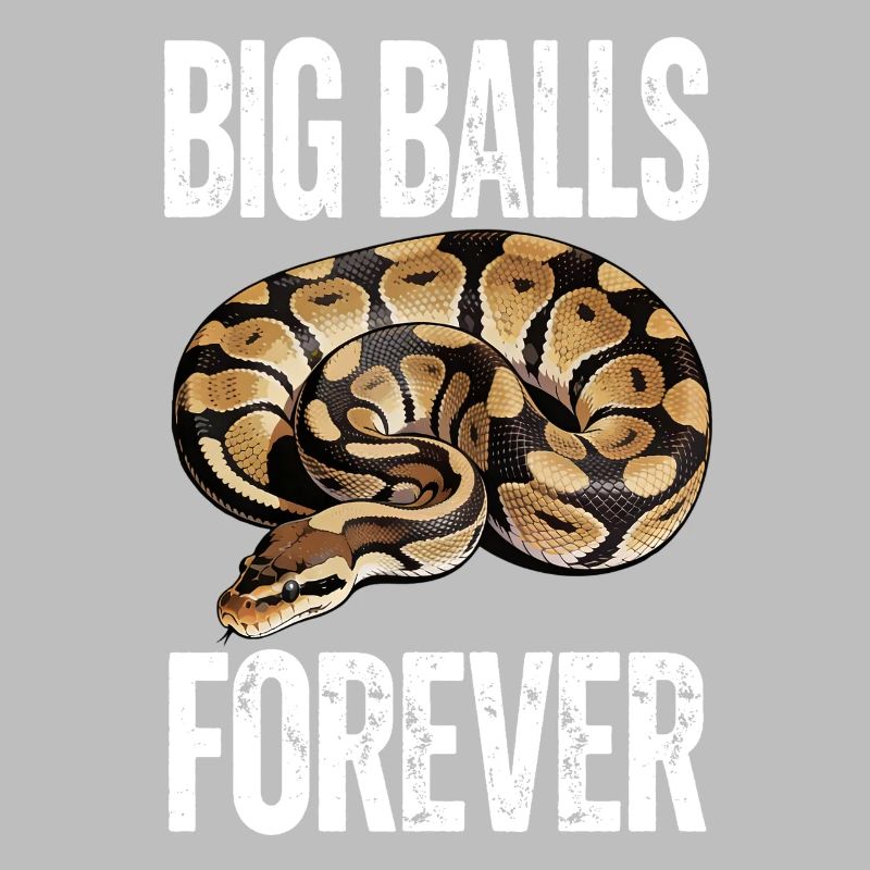 Python roi Serpents Amateurs de terrarium Python