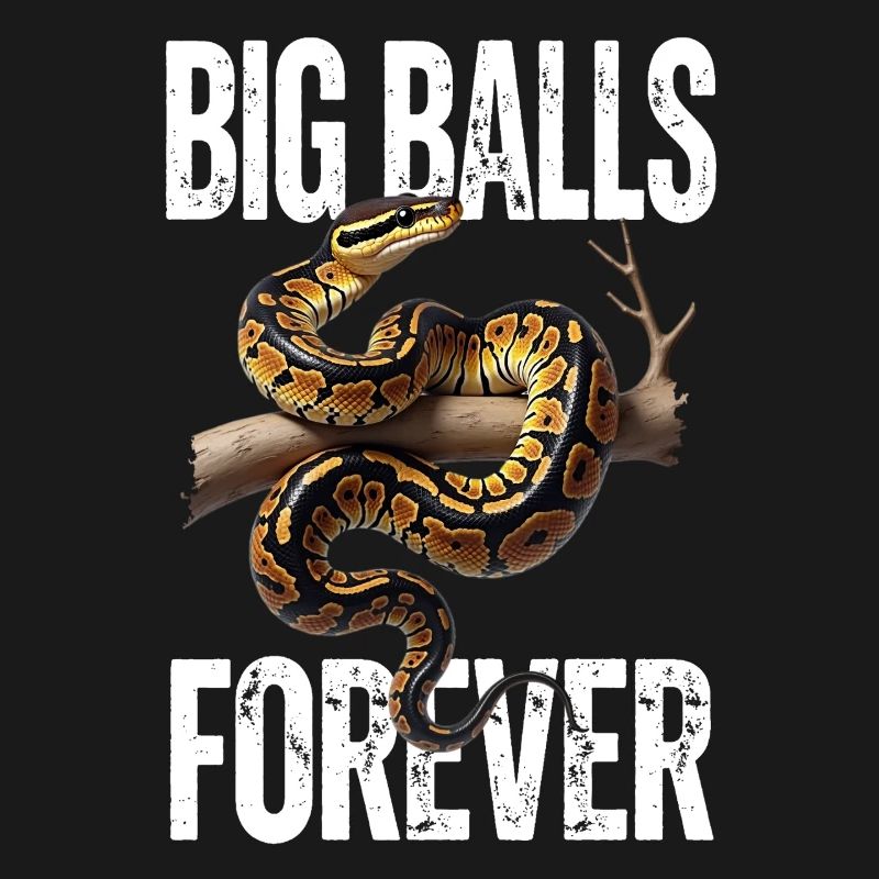 King Python Snakes Lover Terrarium Python