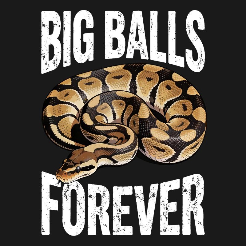 King Python Snakes Lover Terrarium Python