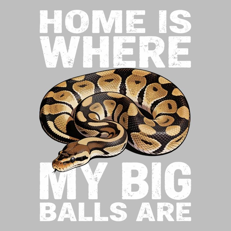 Python roi Serpents Amateurs de terrarium Python