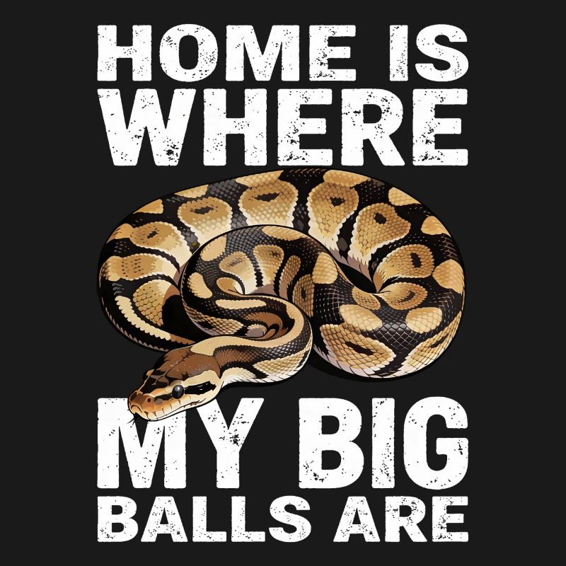 King Python Snakes Lover Terrarium Python