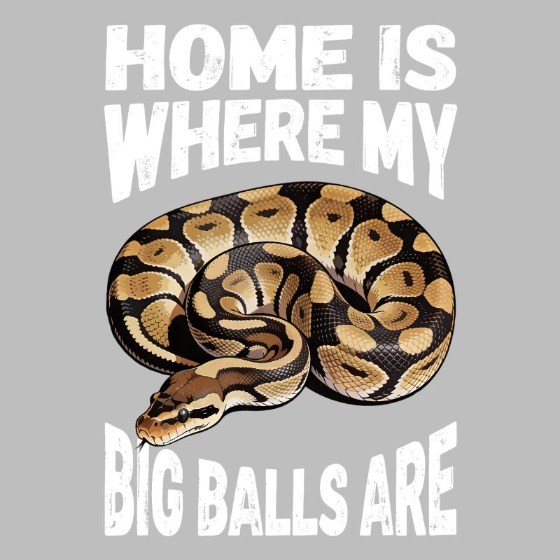 Python roi Serpents Amateurs de terrarium Python