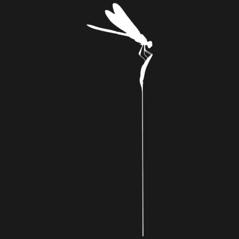 Zen-Libelle – Minimalistischer Kachimushi-Geist