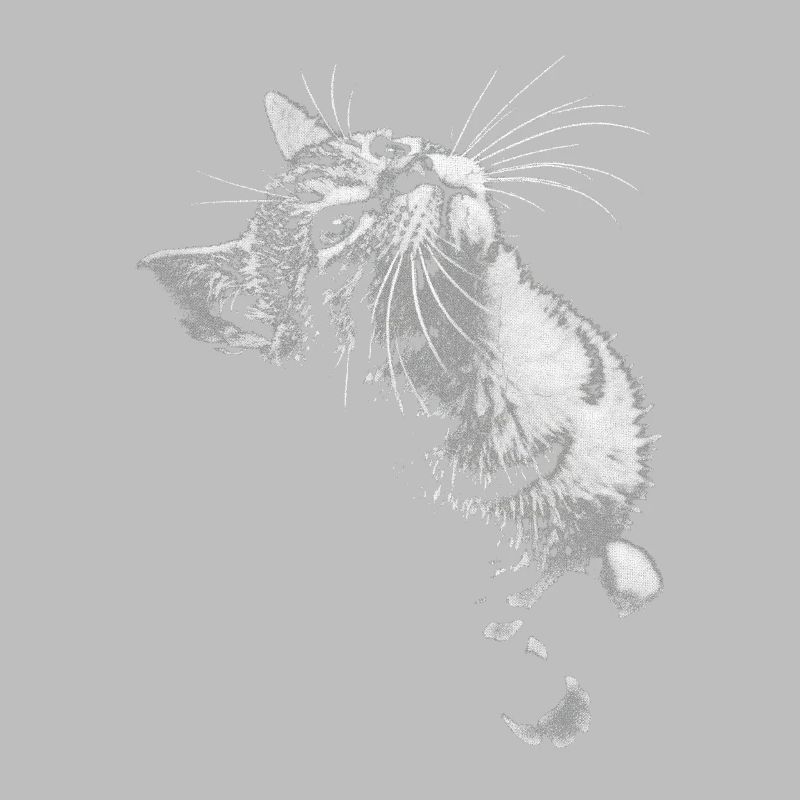 Grayscale Cat Purring Look