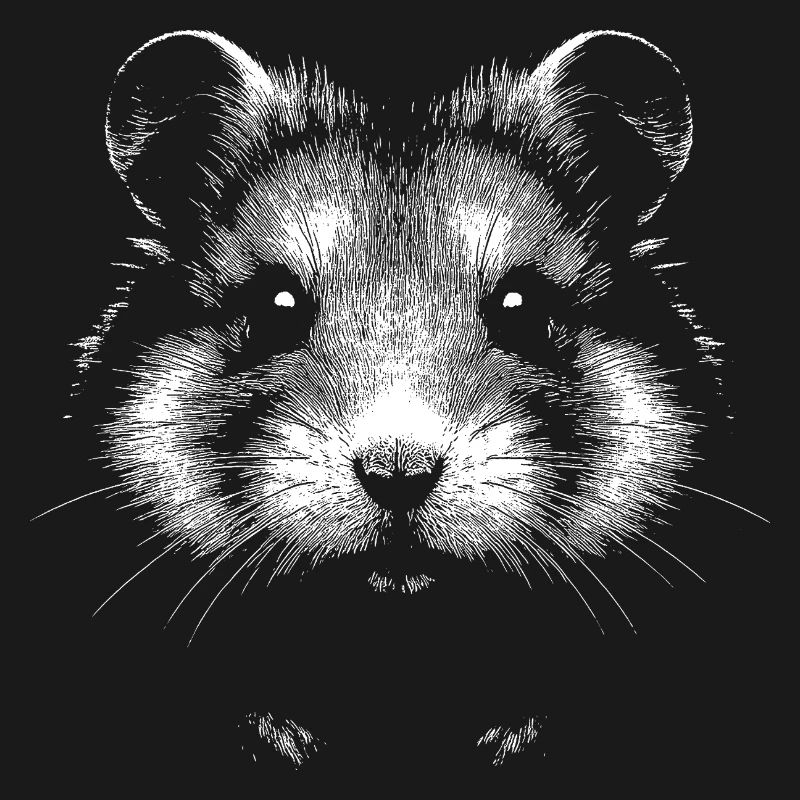 Hamster commun