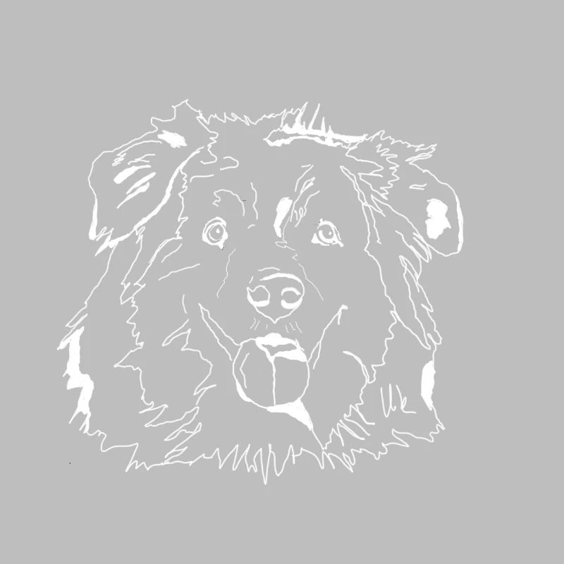 Australian Shepherd