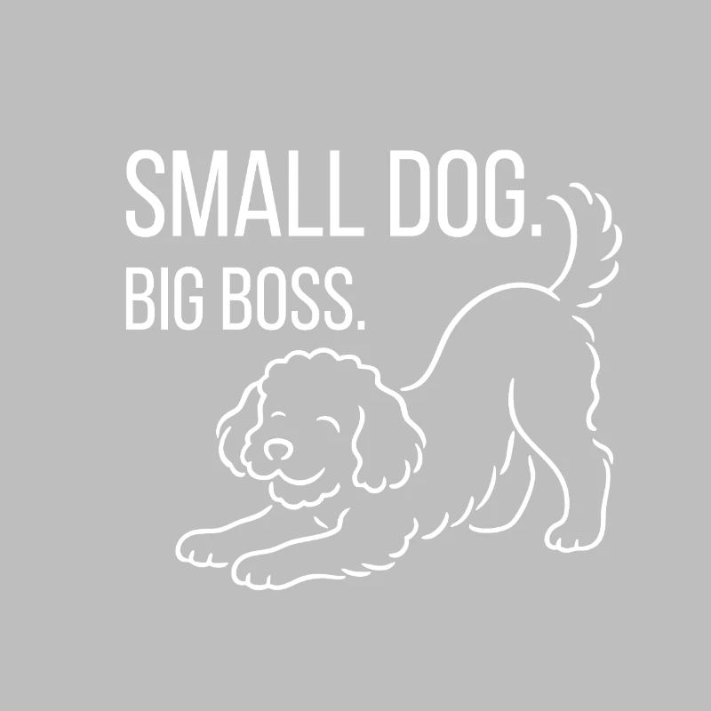 Zwergpudel, Malti-poo oder Königspudel 