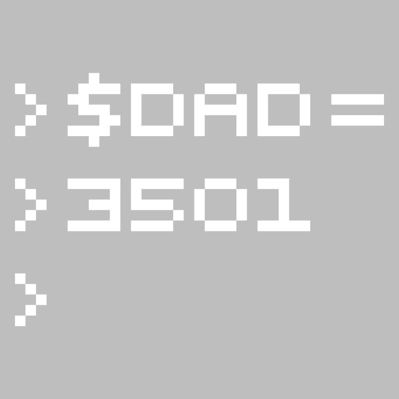 DAD Terminal de Pixels Nerd Code 8-Bits Rétro