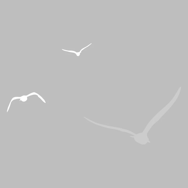 Three Seagulls | Seagull | Colors adjustable