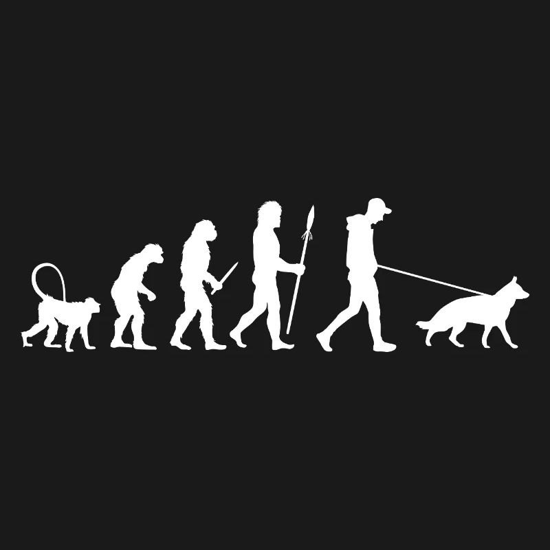 Évolution du berger allemand
