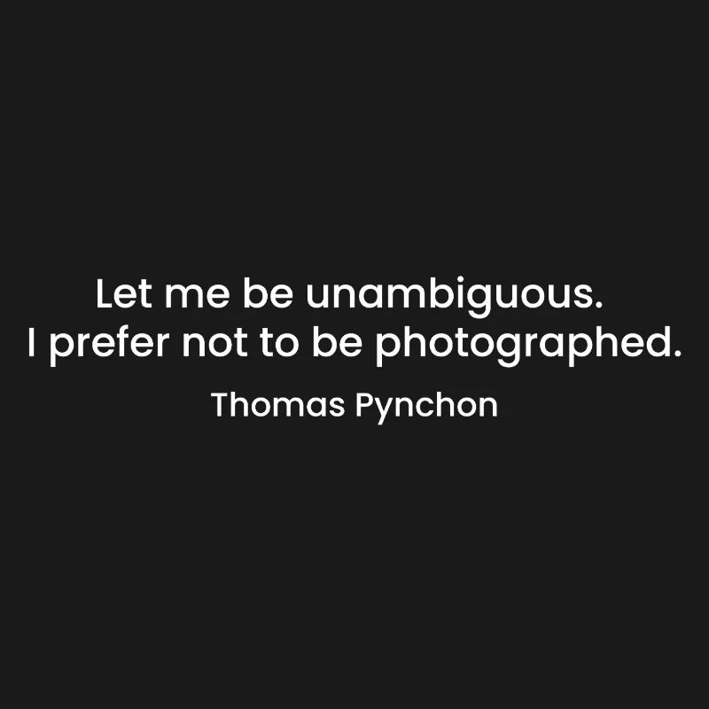 Citation de Thomas Pynchon