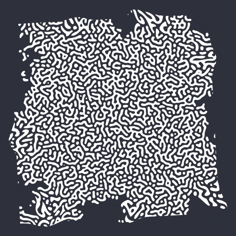 Turing Pattern Blanc - Ver