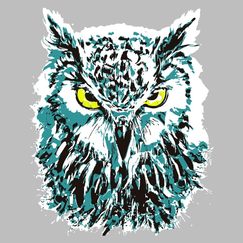 Bunte Eule - Eulenkopf - Kauz - Farbenfrohe Eule