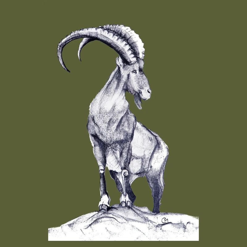 Steinbock