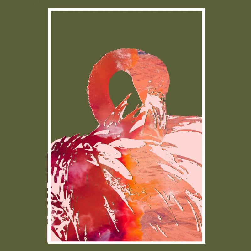 Flamingos