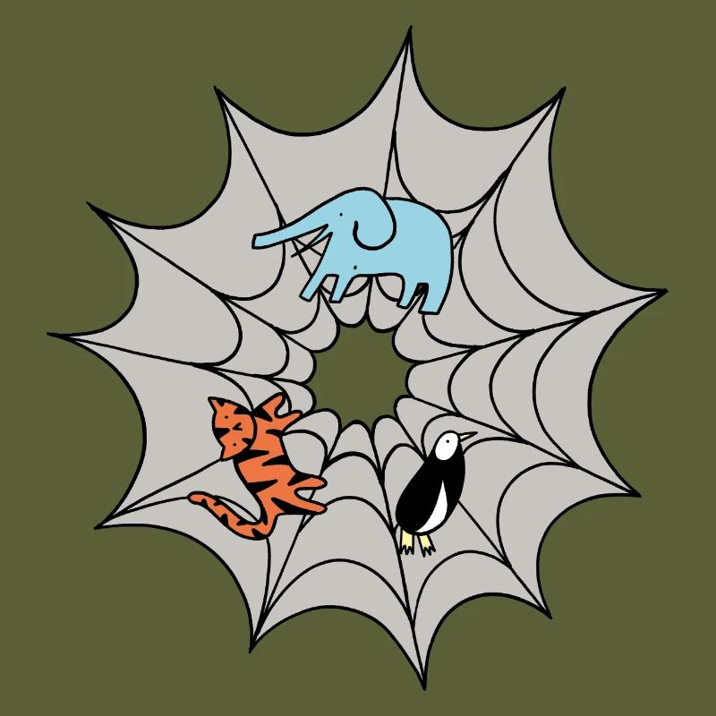 Spider web