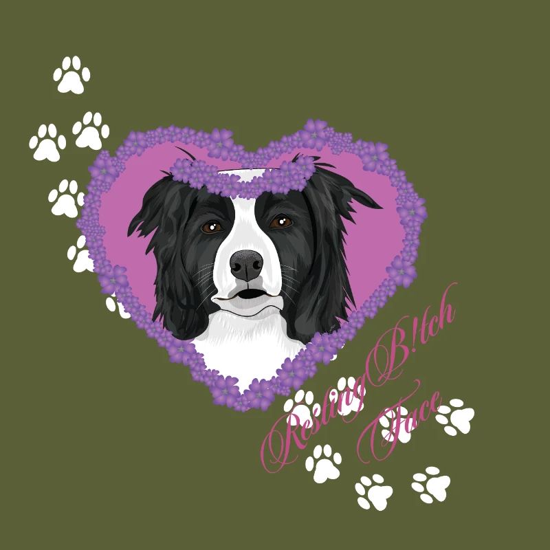 Ruhende B!tch Face Border Collie