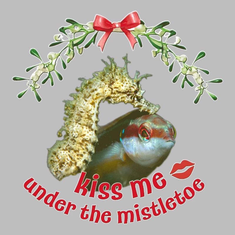 Baiser de gui – Salutations de Noël en mer