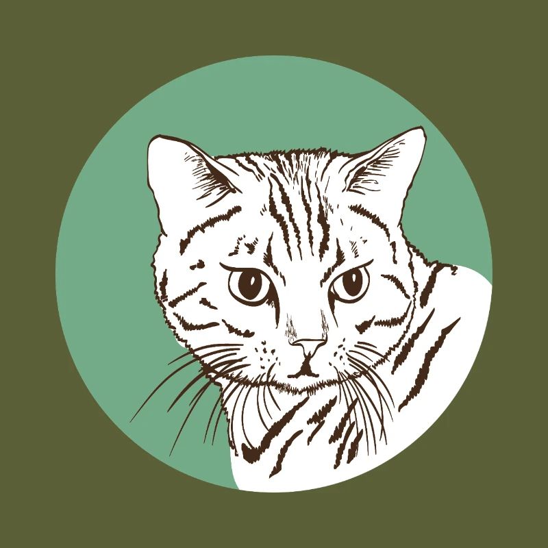 Katze