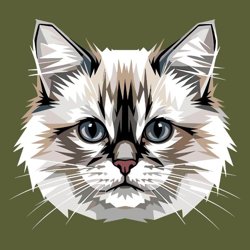 Ragdoll Chat Ragdoll Chat Mignons Chats Ragdoll