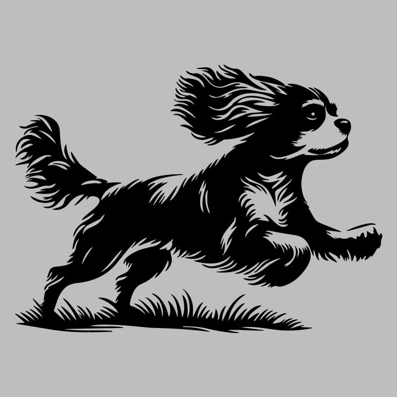 Cavalier King Charles Spaniel
