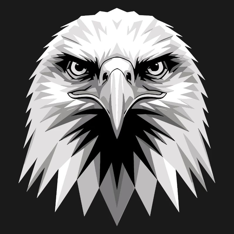 Eagle Bald Eagle Golden Eagle White-tailed Eagle
