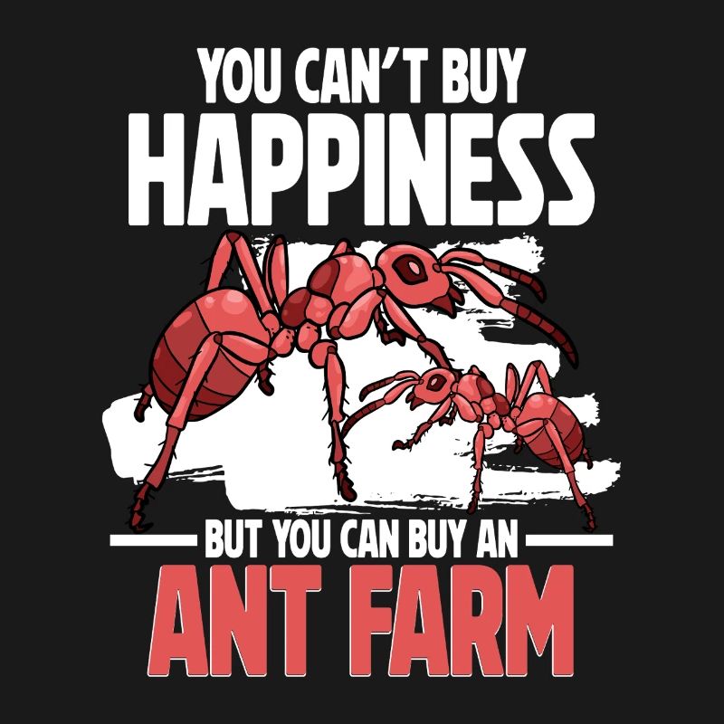 Fourmis Élevage Fourmis Éleveur de fourmis