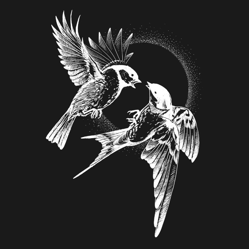 Inversion de combat d’oiseaux