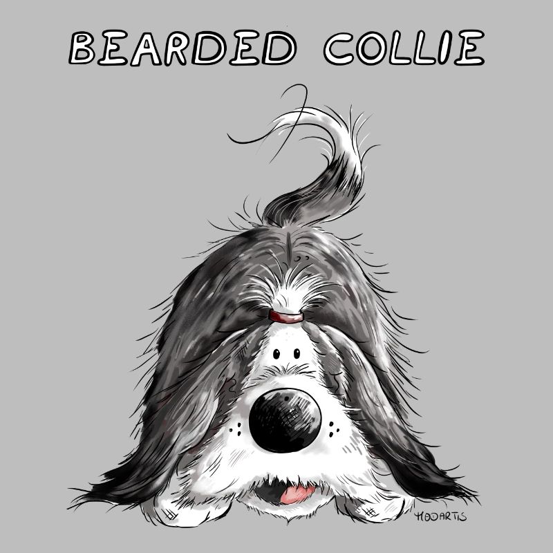 Verspielter Bearded Collie