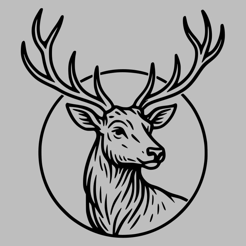 Large, deer