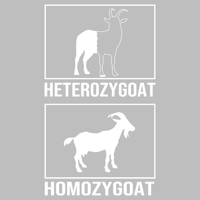Molecule Structural Formula