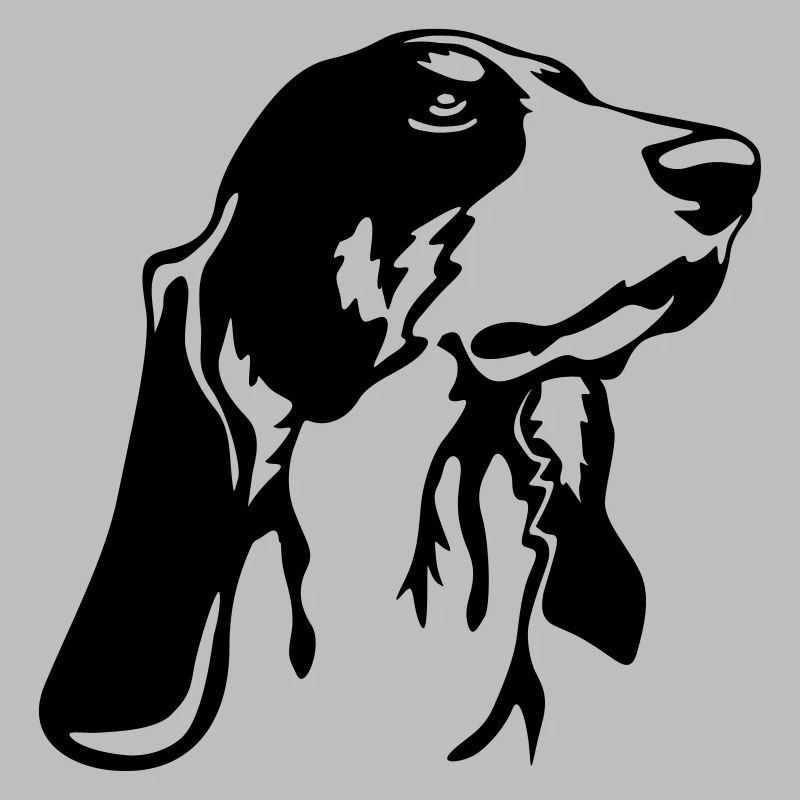 Bernese hound head