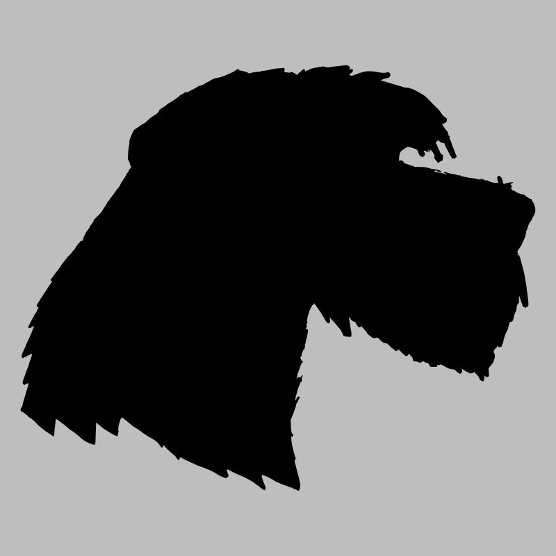 Chien Géant Schnauzer 3, Schnauzer schön