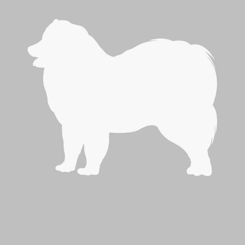 Samoyed