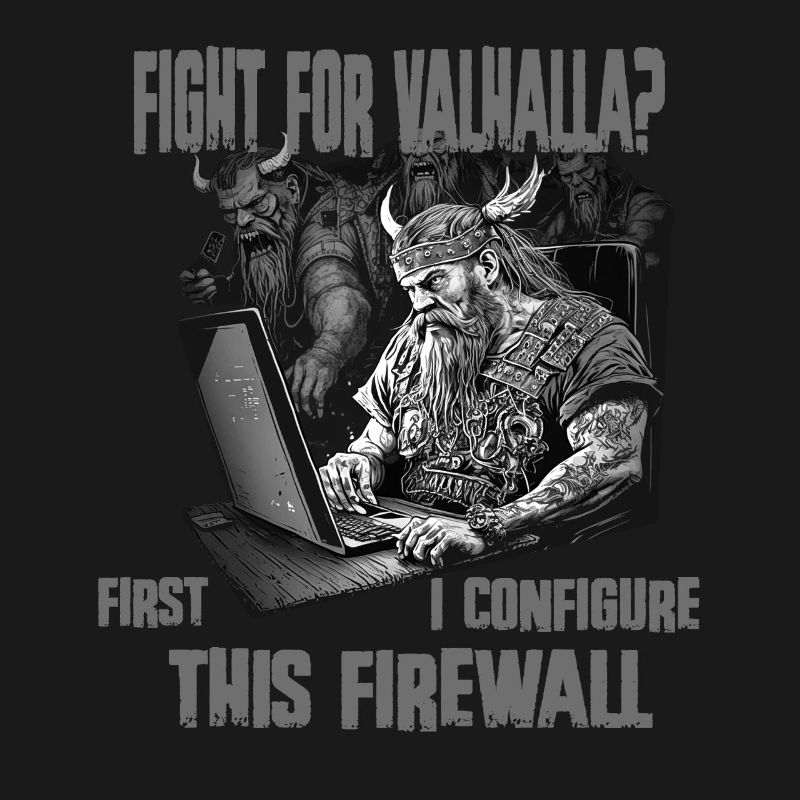 Firewall first Wikingerprogrammierer schwarz weiss