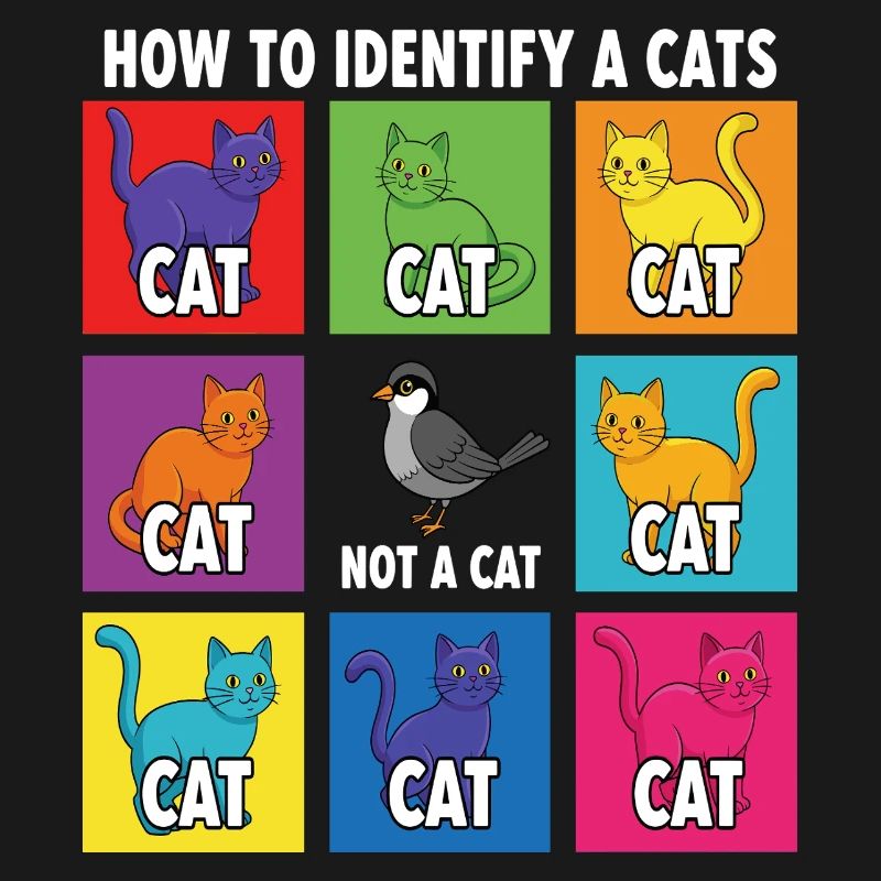 Cat Identification Guide