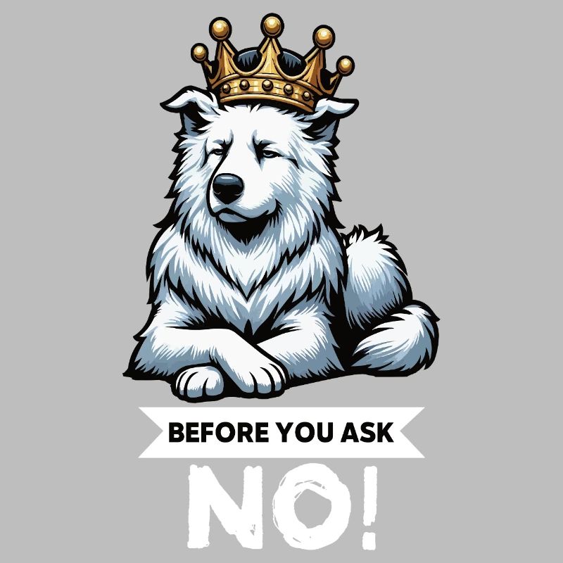 Before You Ask White Shepherd Shepherd