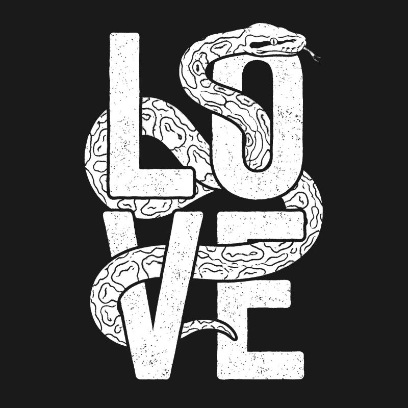 Les serpents rois Python ADORENT les pythons de terrarium