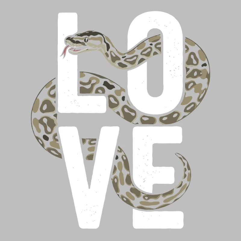 Königspython Schlangen LOVE Terrarium Python