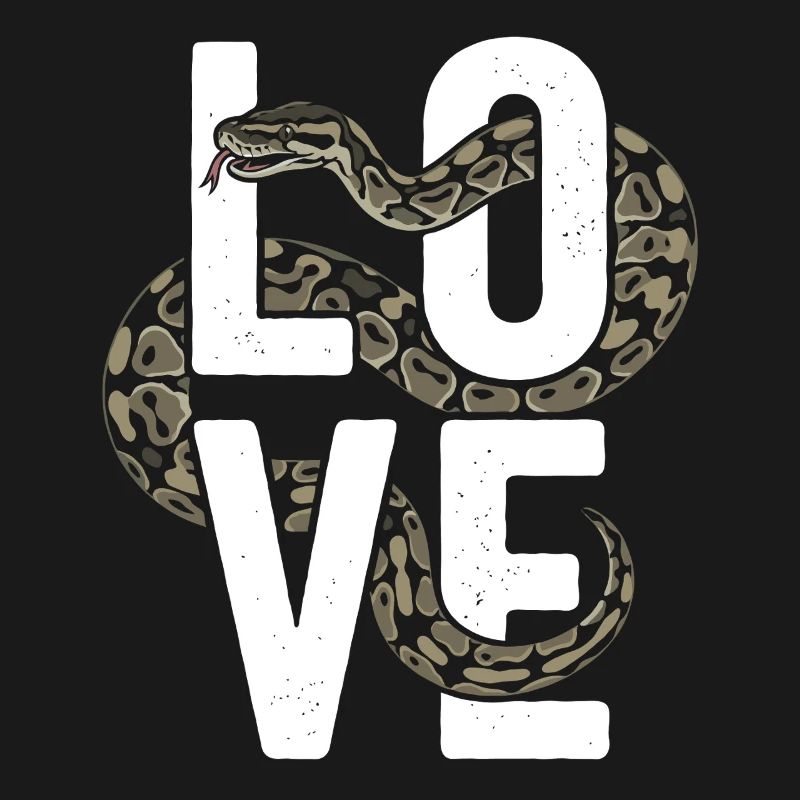 Les serpents rois Python ADORENT les pythons de terrarium